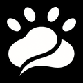 CatPaddles